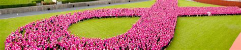 pink ribbon charity walk 2019|BREAST CANCER FOUNDATION TO UNVEIL BREAST SELF.